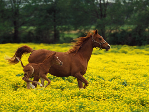 347869 (a): :1600x1200